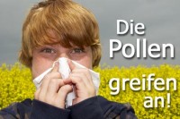 Pollen © Helix2012 - Fotolia.com